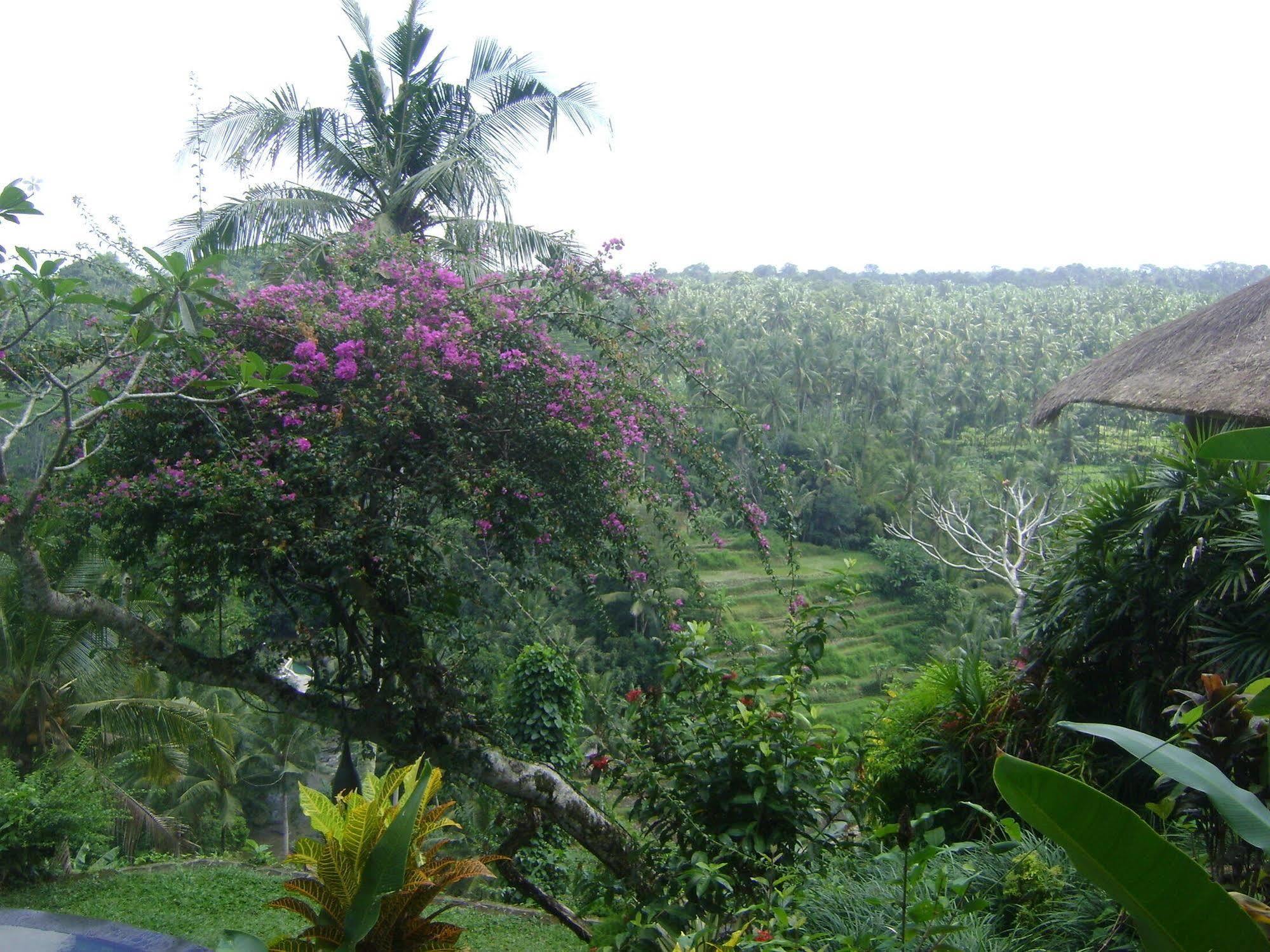 Готель Taman Bebek Bali Убуд Екстер'єр фото